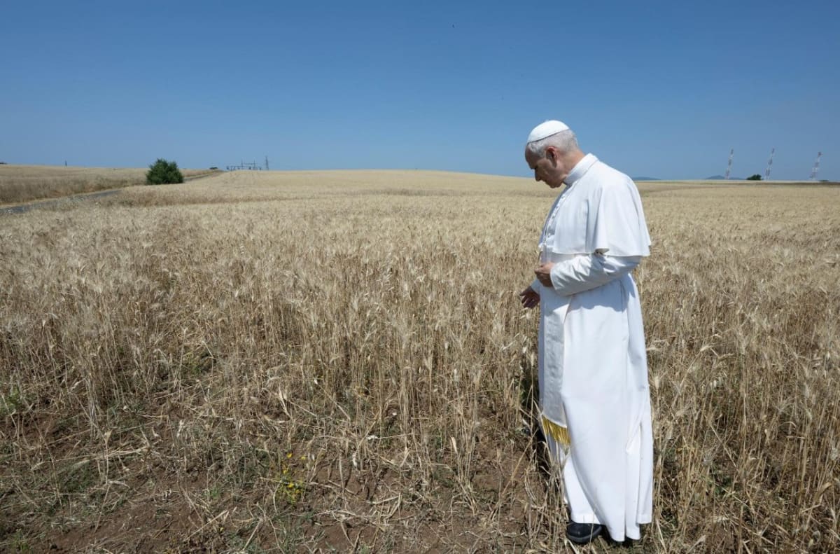 Vatican's Solar Farm Powers Holy City with Clean Energy