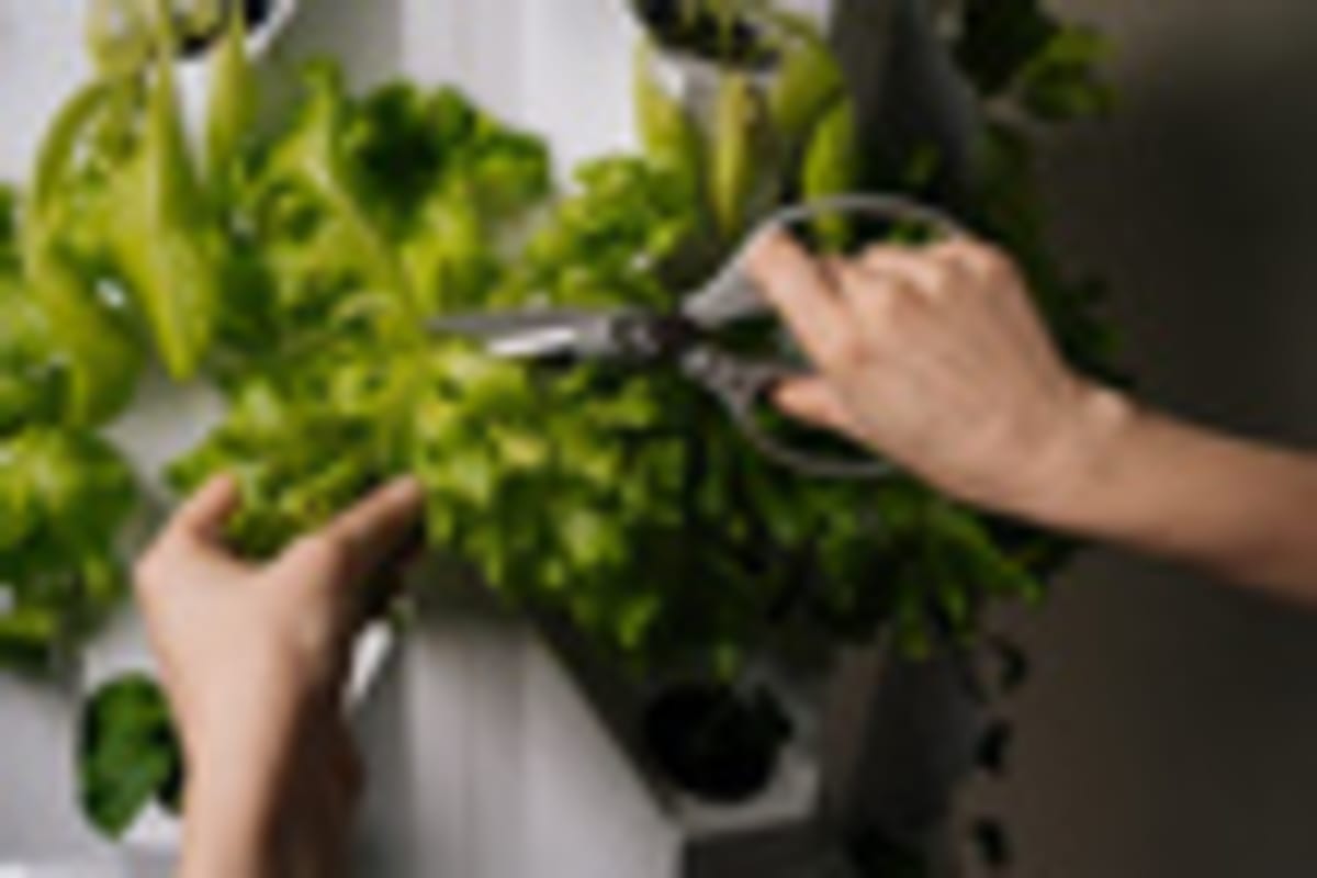 China Closes 20-Year Gap in Agricultural Innovation Race - Image 5
