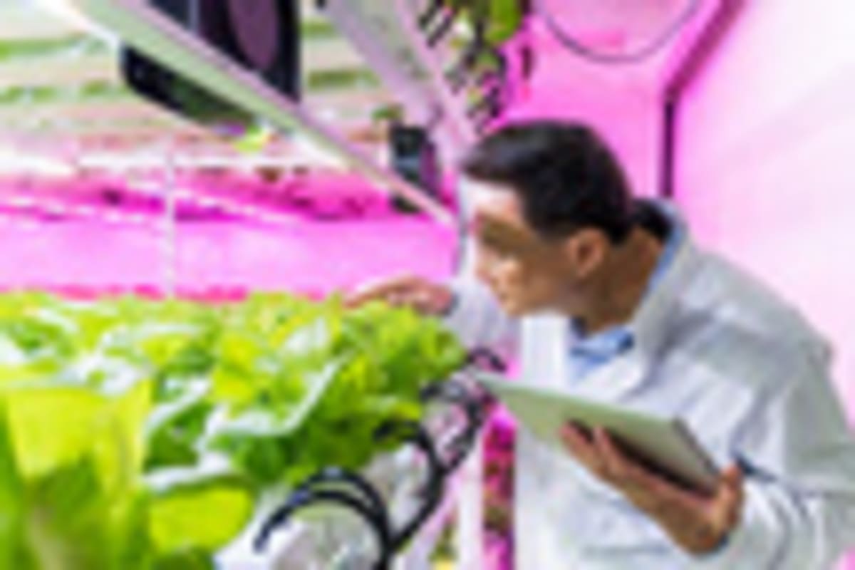 China Closes 20-Year Gap in Agricultural Innovation Race - Image 3