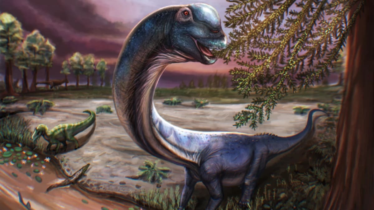 Thailand Discovers 90-Foot 'Last Titan' Dinosaur - Image 5