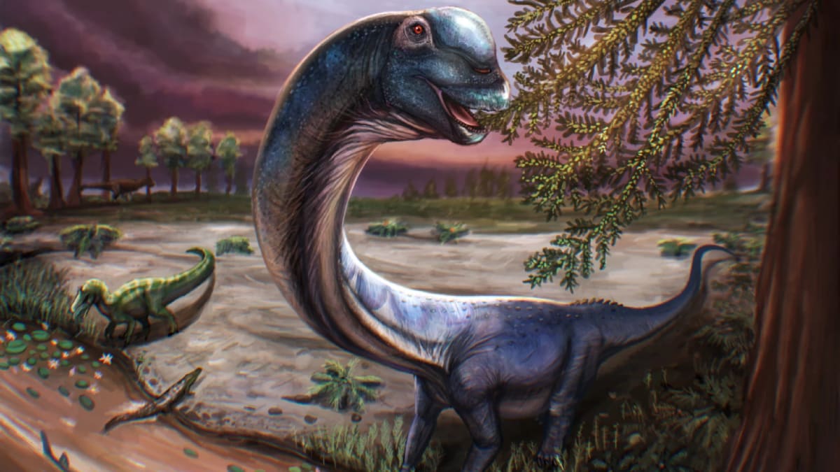 Artistic reconstruction showing massive long-necked Nagatitan dinosaur in prehistoric Thai landscape