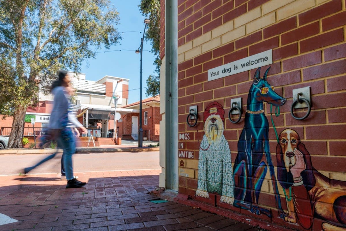 Bright orange replica of world's largest Chamberlain tractor in rural Australian wheat town