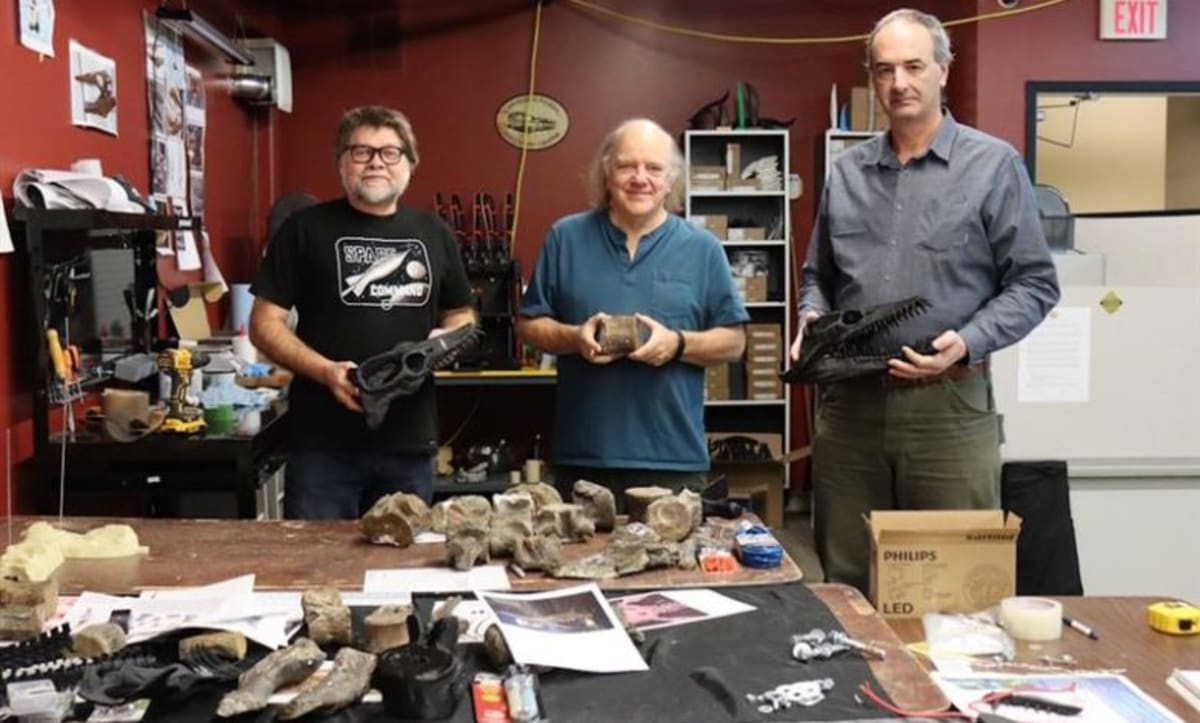 Small Manitoba Museum 3D Prints 9-Metre Dinosaur Skeleton - Image 2