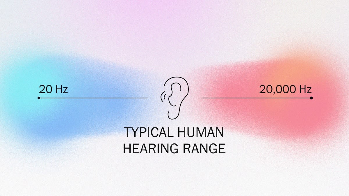 Milk crate microphone array in forest capturing Earth's inaudible infrasound waves