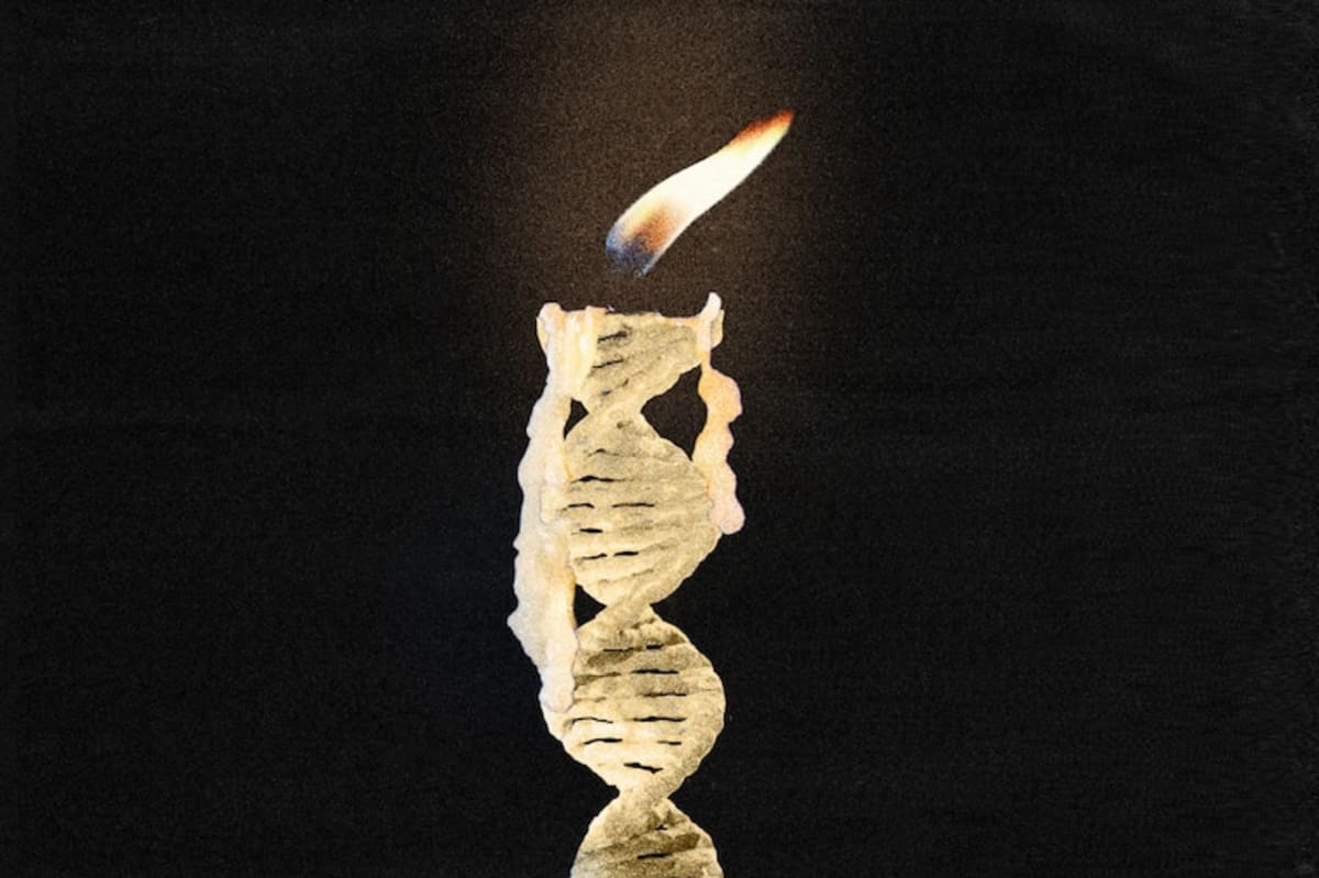 U.S. Rescues Airman From Iranian Mountains After Shootdown - Image 3