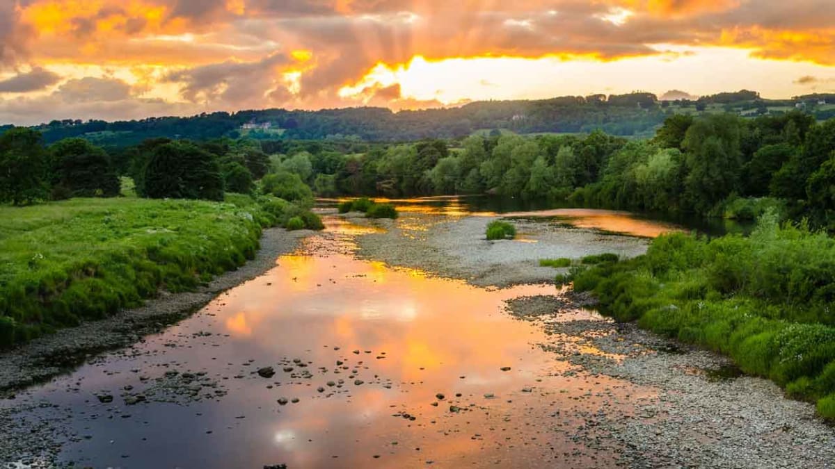 Restored peatland wetland habitat with native grasses and water features in English countryside