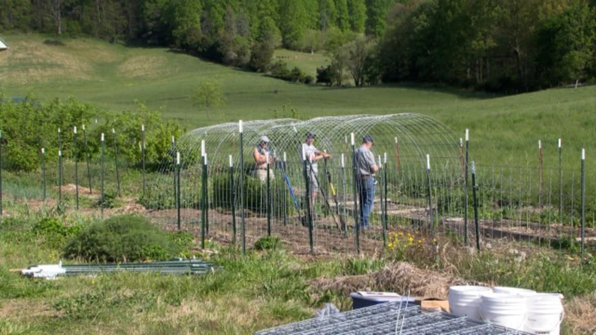 30 Volunteer Teams Help 20+ Charities in Kingsport - Image 2