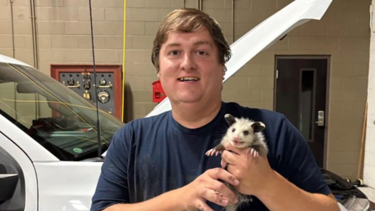 Tennessee Firefighter Rescues Baby Opossum From Fire Truck - Image 2