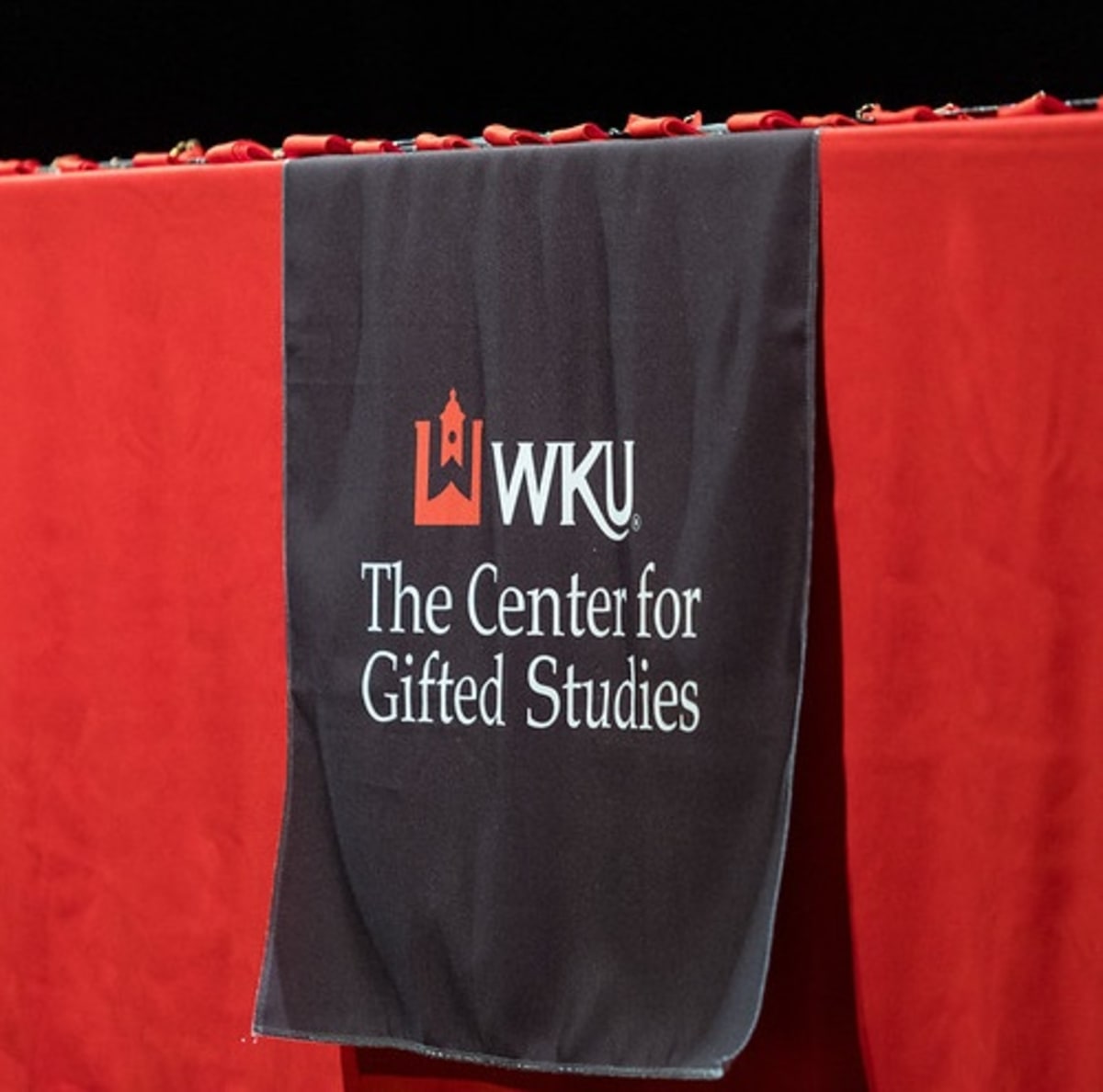 ** Young students receiving medals at Western Kentucky University academic recognition ceremony