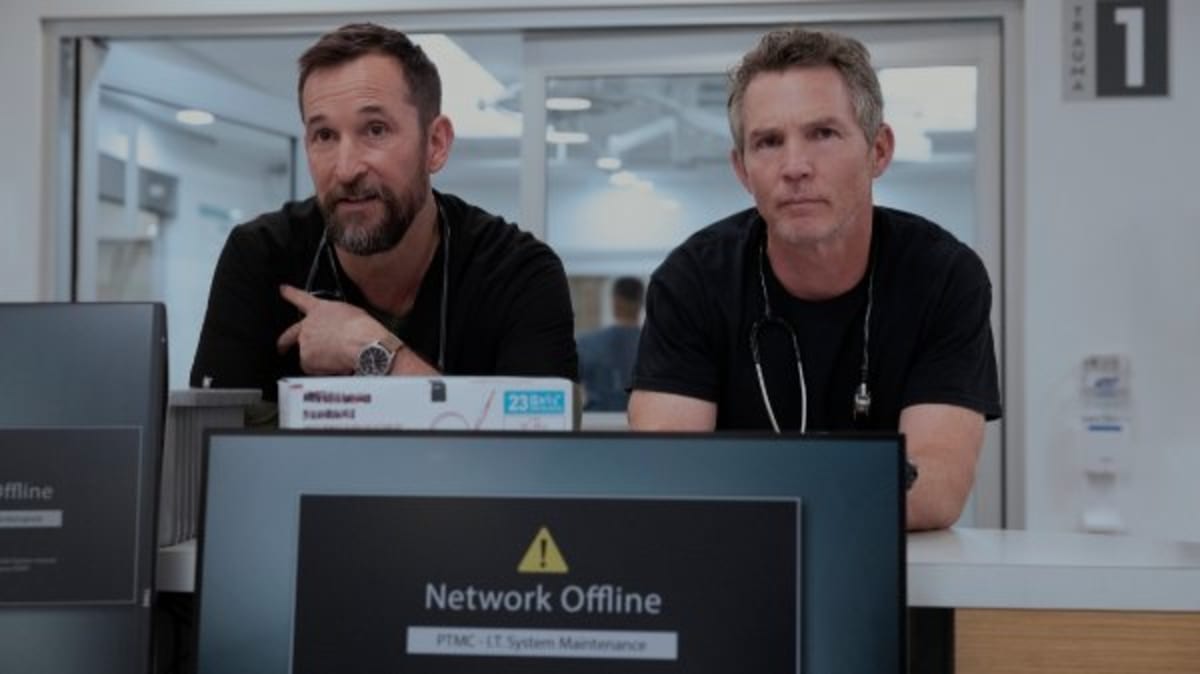 Austin Rescue Cares for 11,000 Baby Animals a Year - Image 4