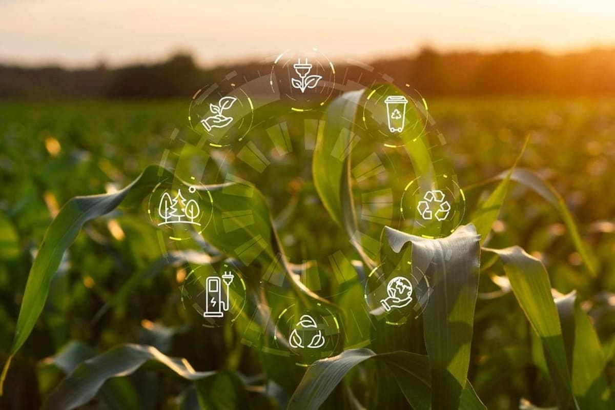 COFCO Cuts Farm Emissions 23% in Corn, 11% in Soy