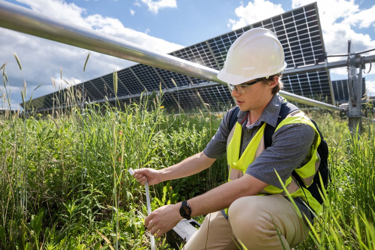 Wisconsin Solar Boom Continues Despite Federal Cuts - Image 5