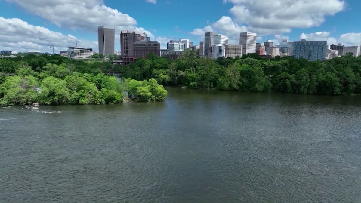 Volunteers planting trees and gardens near Richmond public library to prevent river pollution