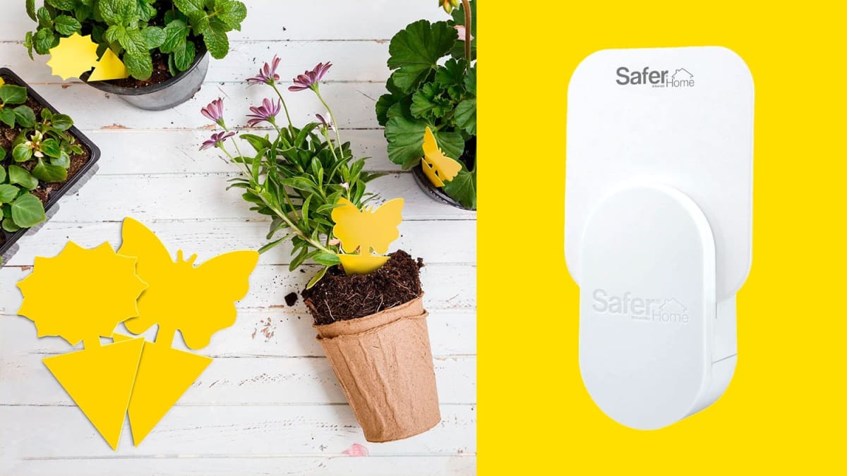 Richmond Volunteers Plant Trees to Protect James River - Image 5