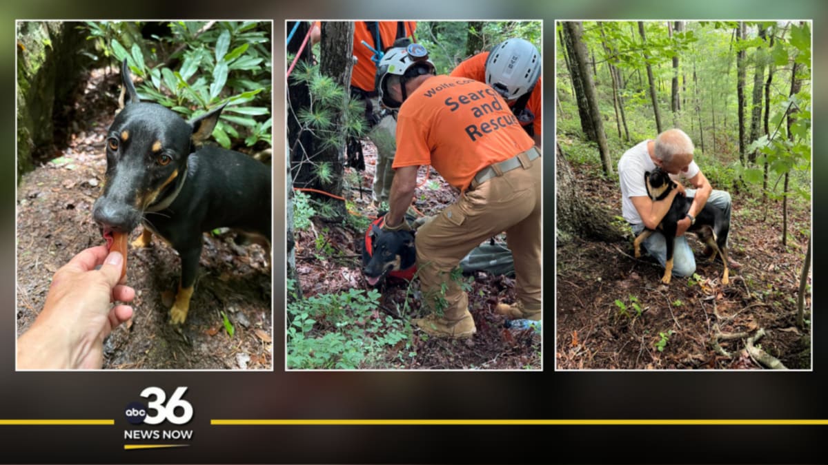 Kentucky Rescue Team Saves Dog Stranded on Cliff 4 Days