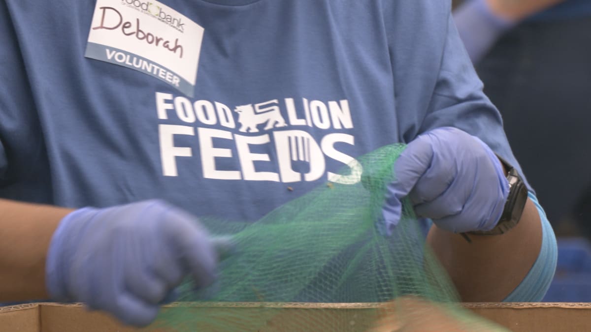 Food Lion volunteers sorting fresh produce donations at Wilmington food bank during National Volunteer Week