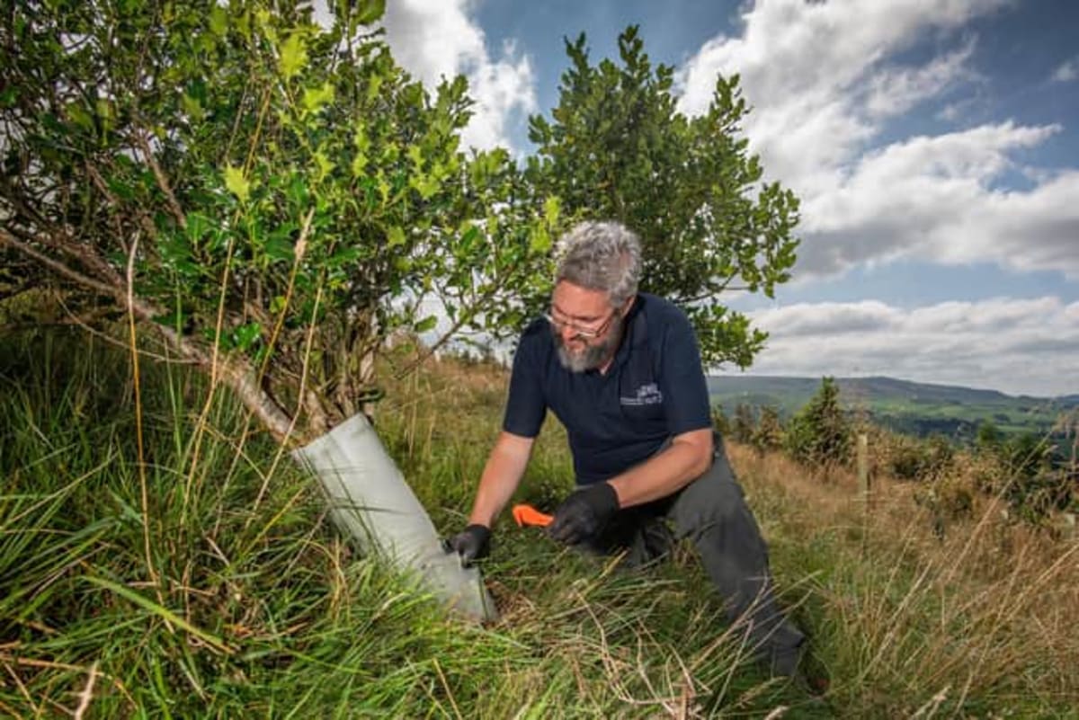 Yorkshire Trust Diverts 85 Tonnes of Plastic from Forests - Image 4