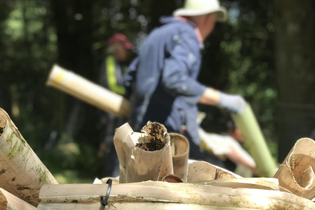 Yorkshire Trust Diverts 85 Tonnes of Plastic from Forests