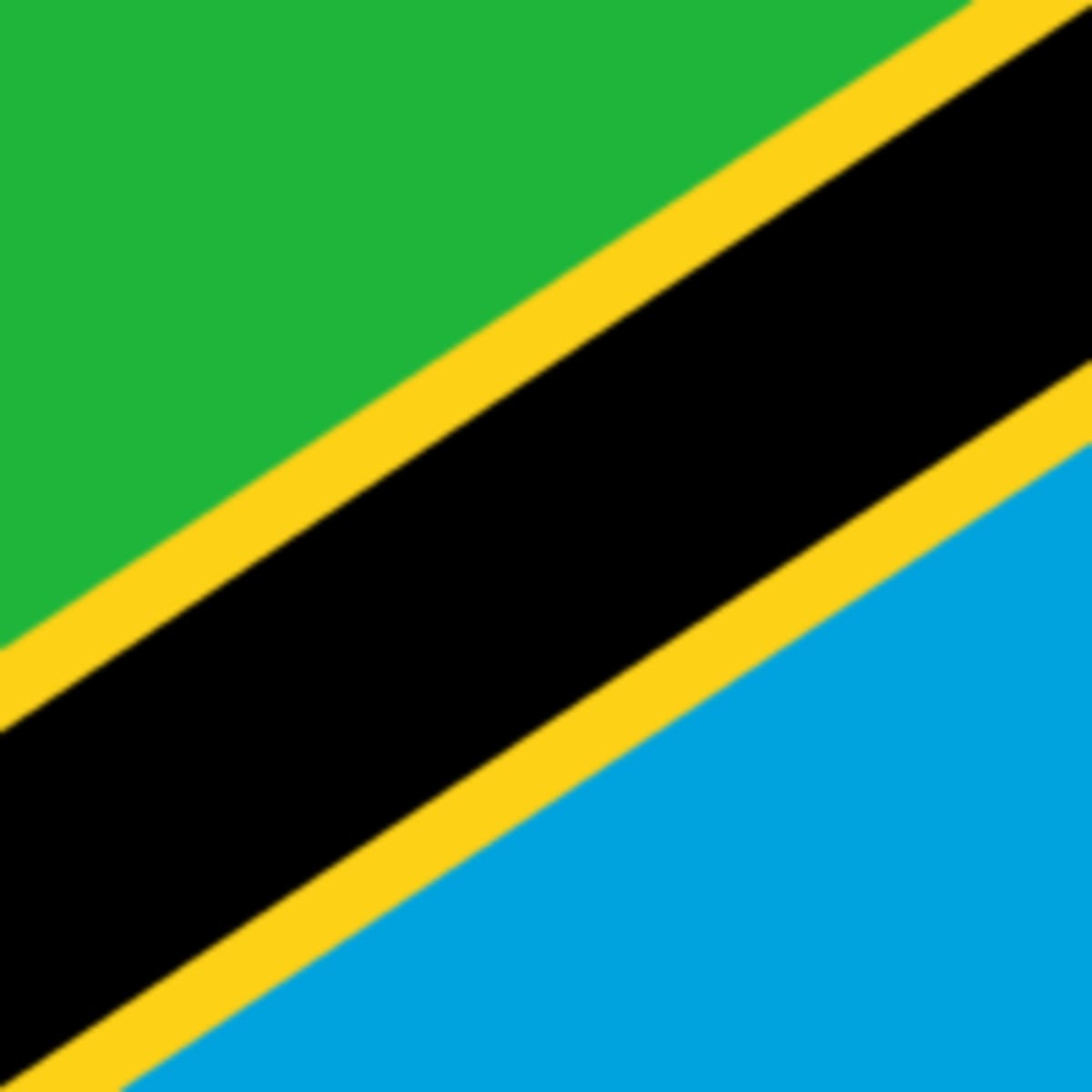 Ghana Youth Build Rural Communities in 10-Month Program - Image 4