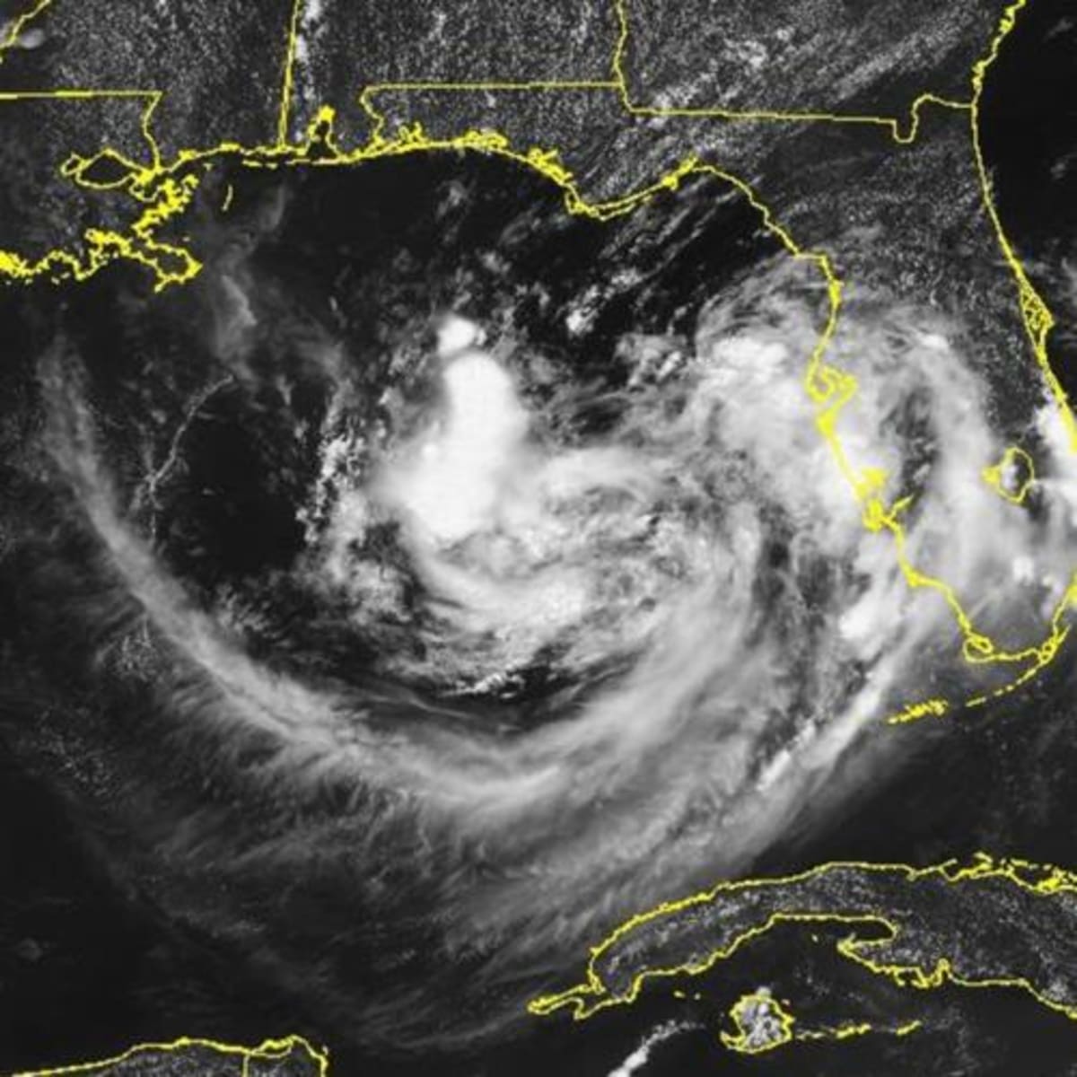 Florida Unemployment Drops for First Time in 18 Months - Image 4