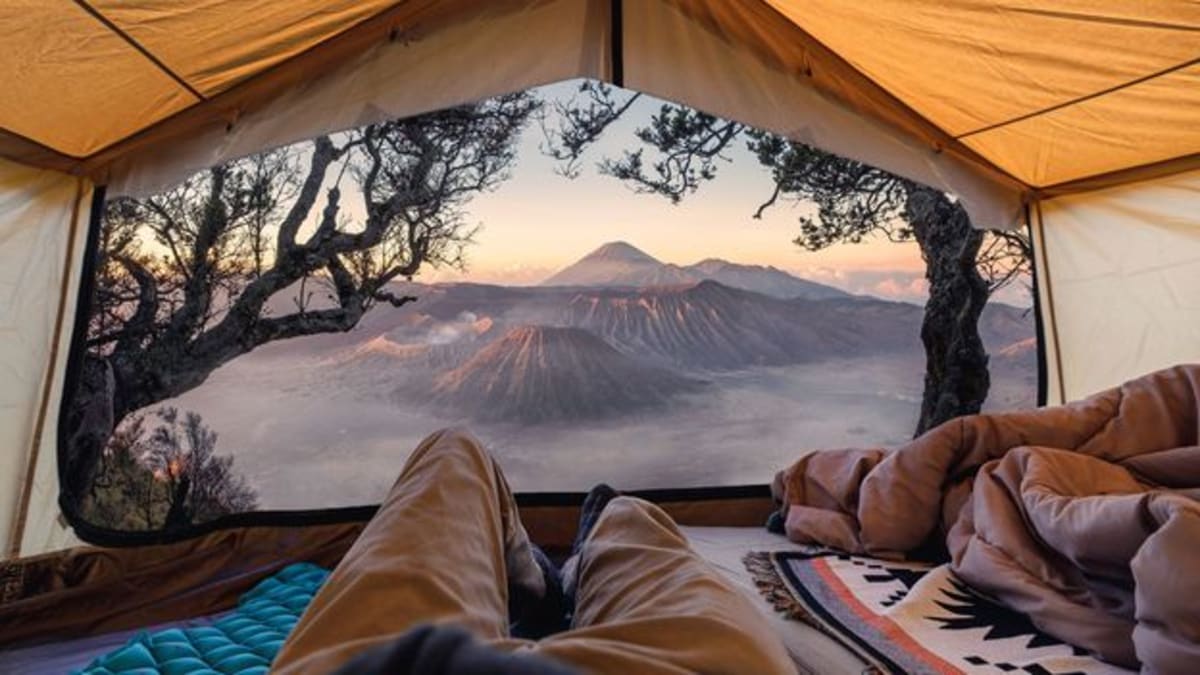 Weekend Camping Resets Your Sleep Clock, Science Confirms