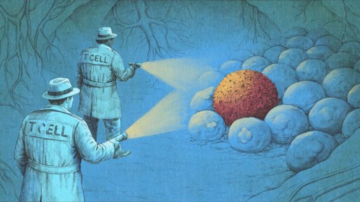 New Immunotherapy Eliminates Cancer Without Surgery