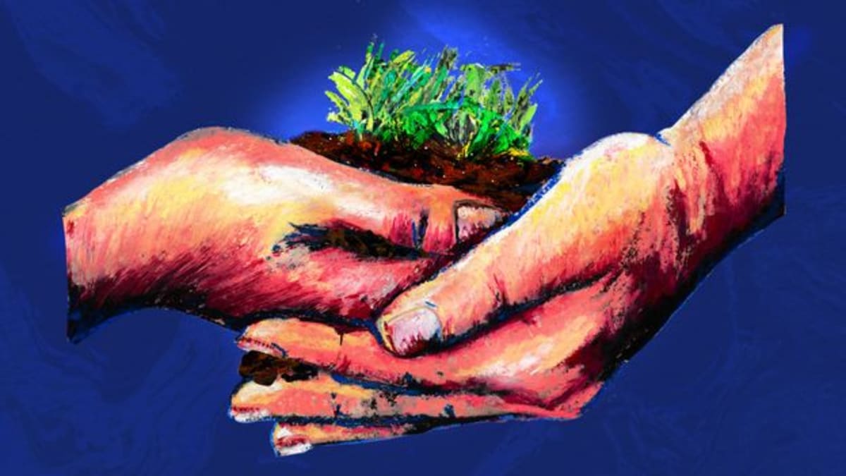 Child's muddy hands holding soil in wooded outdoor playground surrounded by trees