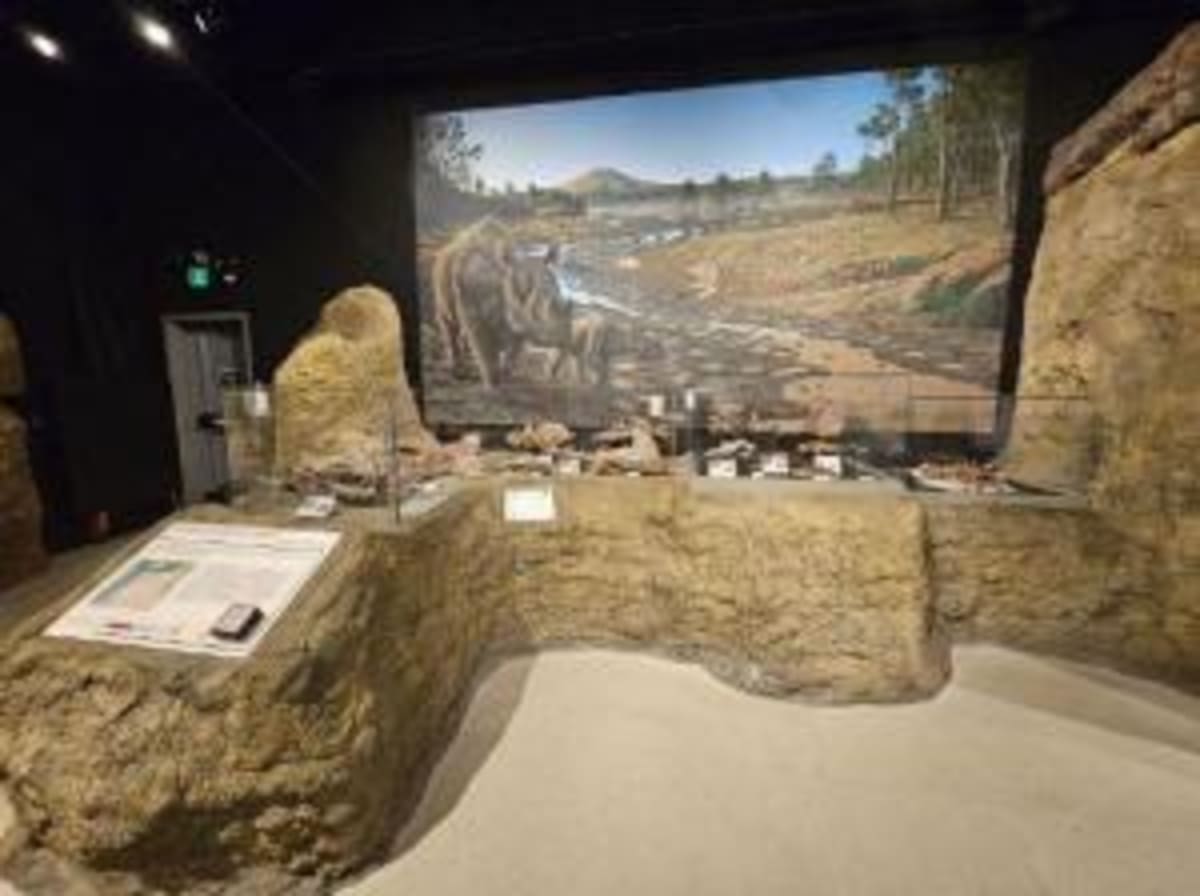 Tillamook Awards $35K in Scholarships to Oregon Students - Image 4