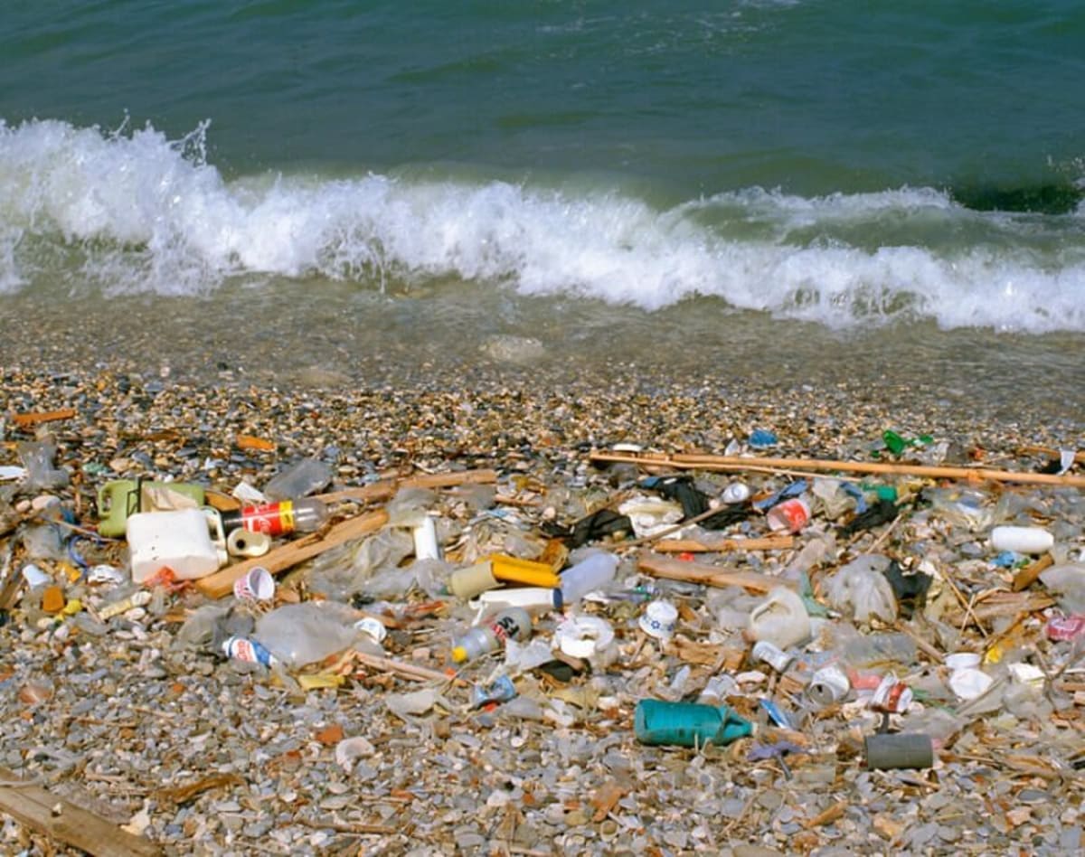 Children collecting trash and learning about ocean conservation at sunny Los Angeles beach cleanup event
