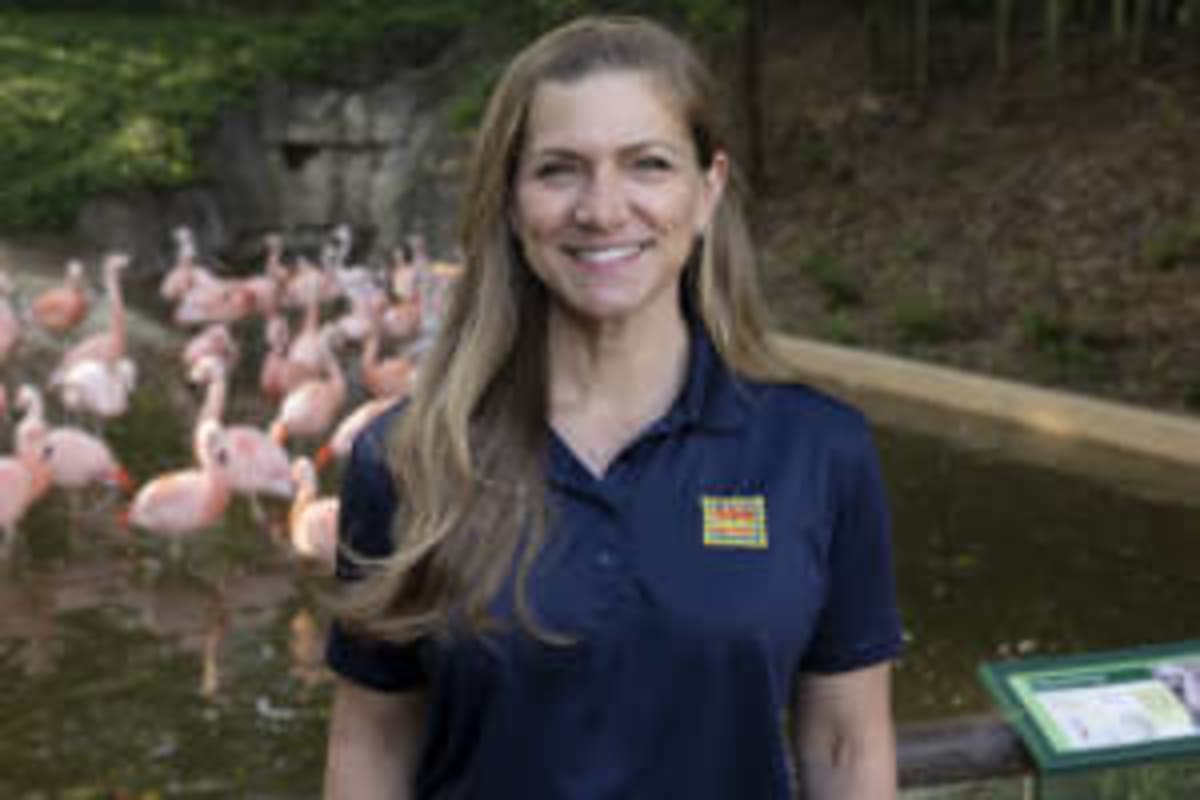 Zoo Atlanta Releases Thousands of Rescued Tortoises to Wild - Image 2