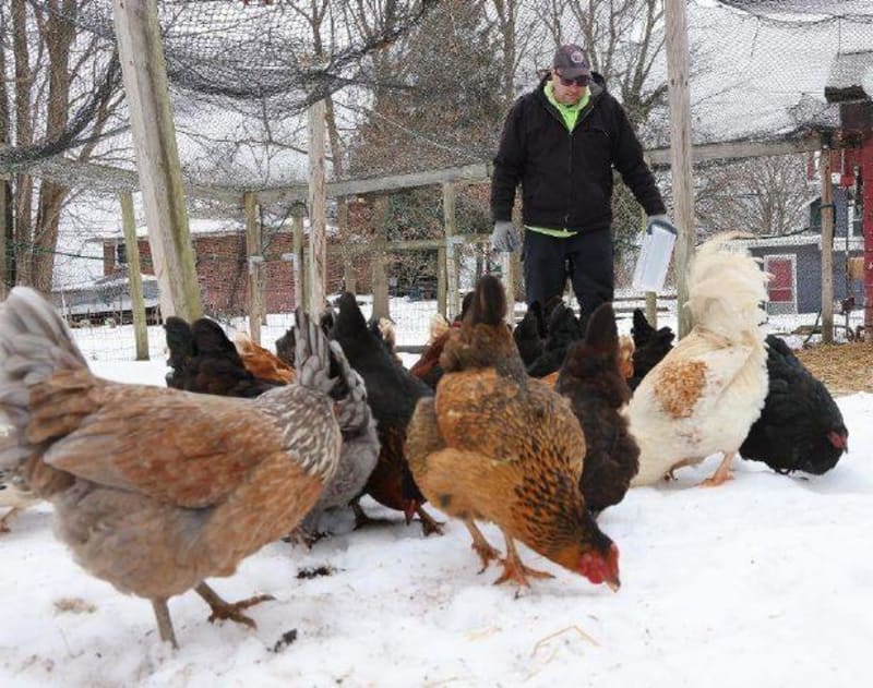 Ohio Farm Gets $7,639 to Help Adults With Disabilities