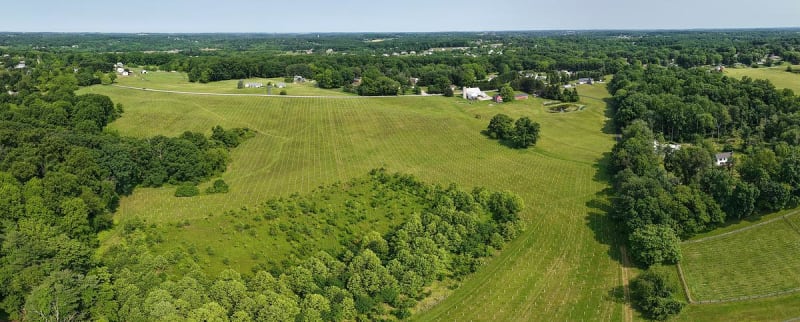 Rows of young tree seedlings with protective shelters across rolling Pennsylvania preserve land under open sky