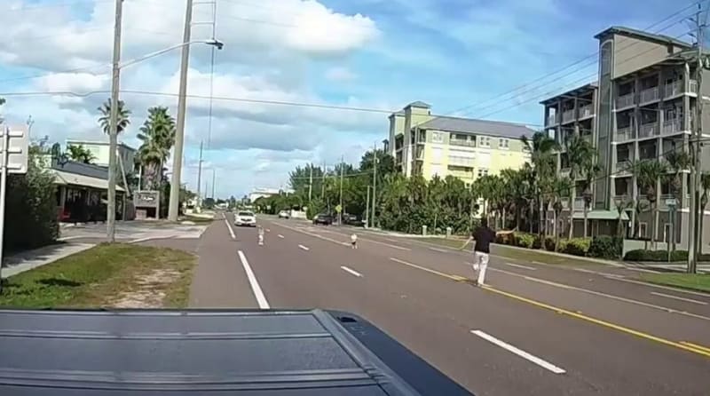 Florida Driver Saves 2 Toddlers from Busy Highway in Seconds - Image 2