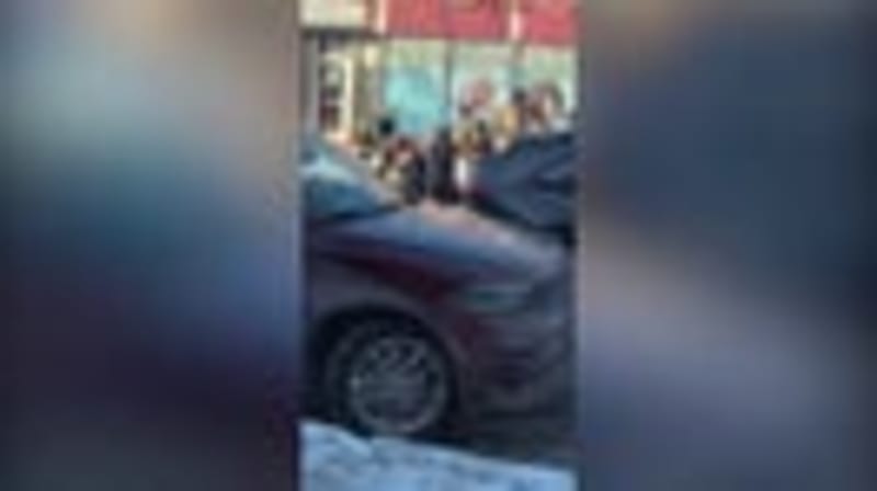 Young Moose Takes Over Utah Ski Slope in Viral Moment - Image 2