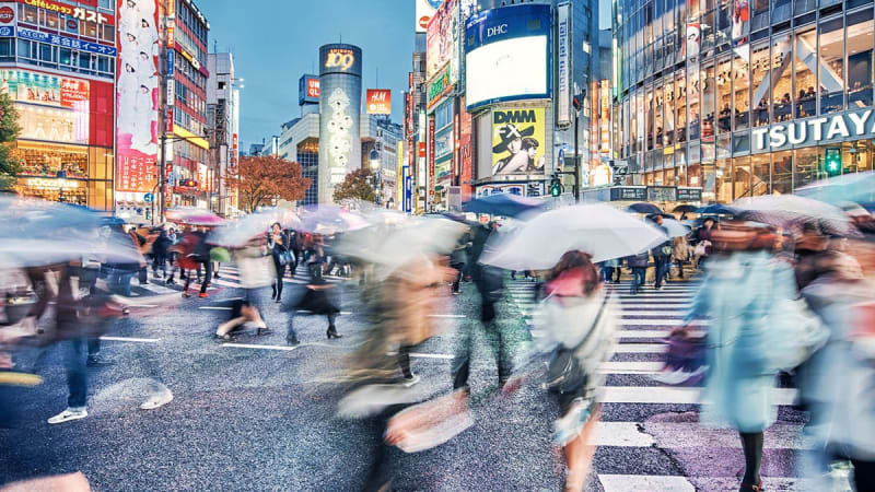 Passenger Flies to Tokyo Instead of Houston by Mistake - Image 5