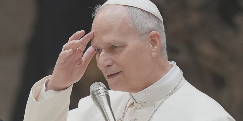 Pope Leo XIV Calls for World Free of Antisemitism - Image 2