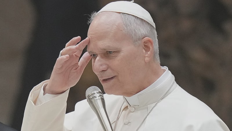Pope Leo XIV Calls for World Free of Antisemitism - Image 4