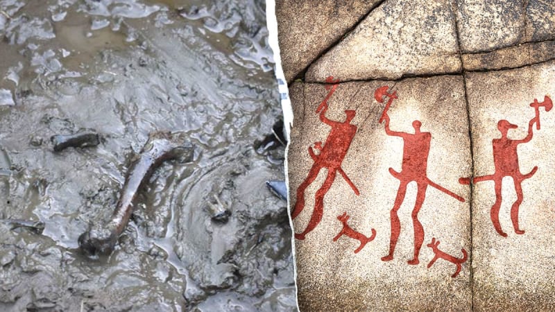 5,000-Year-Old Dog Buried with Dagger Found in Sweden - Image 4