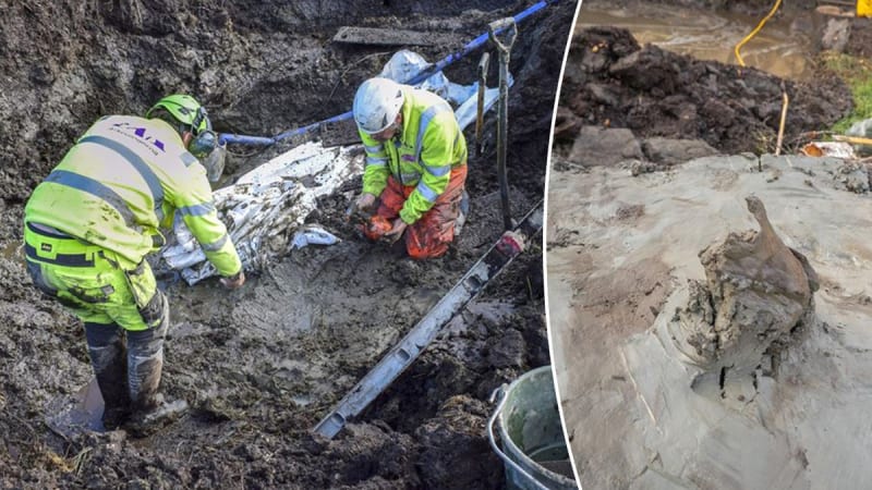 5,000-Year-Old Dog Buried with Dagger Found in Sweden - Image 2