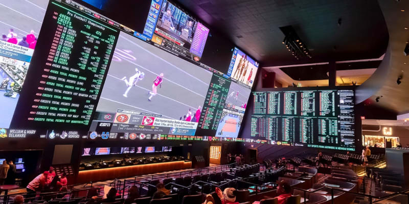 BetMGM Bans Sports Bettors Who Harass Athletes Online - Image 2