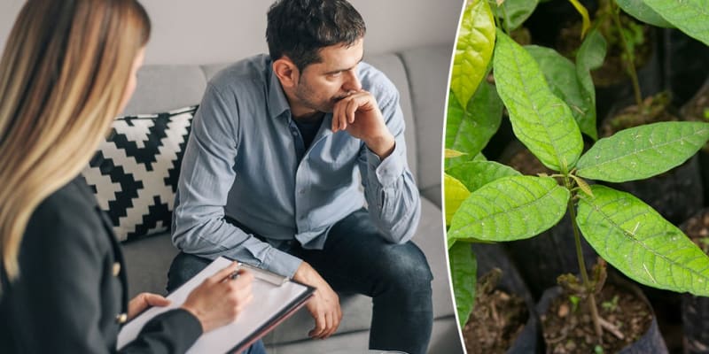 Single DMT Dose Cuts Depression in Half for 6 Months - Image 2