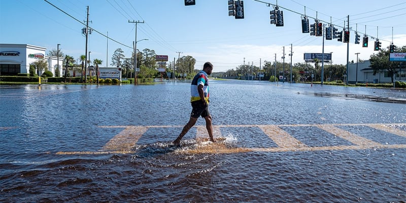 Florida Execs Get 20 Years for $233M Healthcare Fraud - Image 2