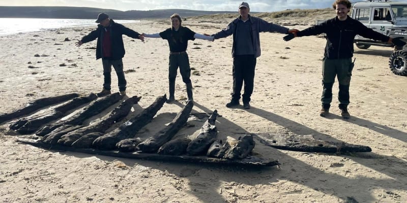 400-Year-Old Shipwreck Resurfaces on English Beach - Image 2
