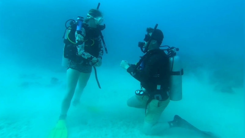 Diver Proposes 100 Feet Underwater at Fiji Shipwreck - Image 3