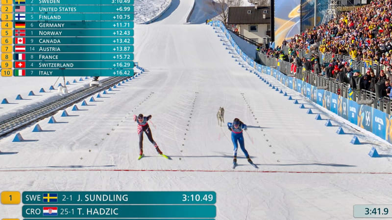 Wolfdog Nazgul Crashes Olympic Ski Race, Steals Hearts - Image 4