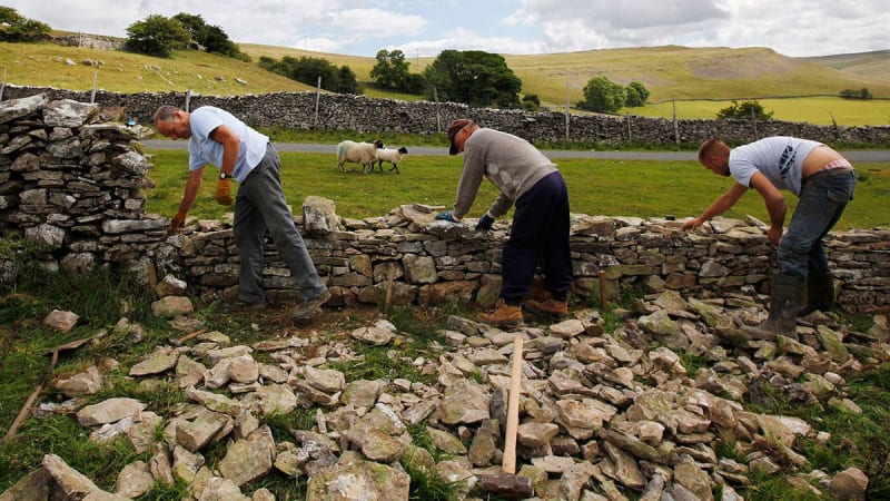 UK National Parks Launch Programs to Welcome All Visitors - Image 4