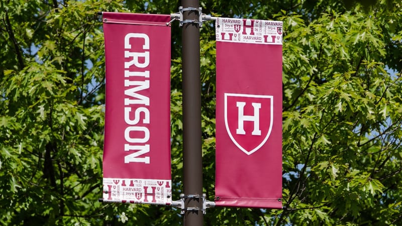 Harvard Students Help Asylum Seekers Earn College Credit - Image 4