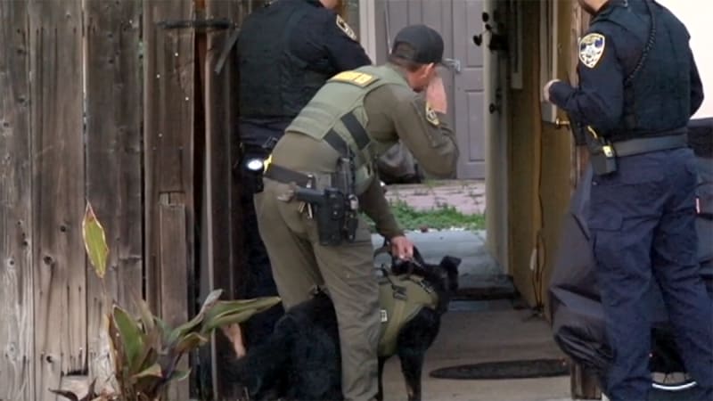 Bystander Rams Robbers' Car Into Store to Stop Heist - Image 4