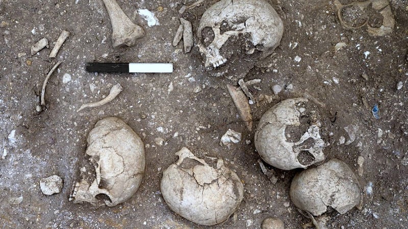 Viking Skull Reveals 9th-Century Brain Surgery Success - Image 5