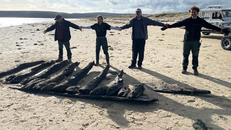 400-Year-Old Shipwreck Resurfaces on English Beach - Image 5